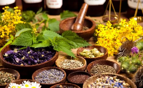 Narayani Naturals