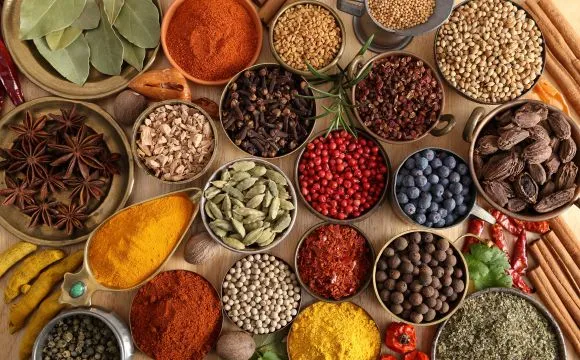 Narayani Naturals