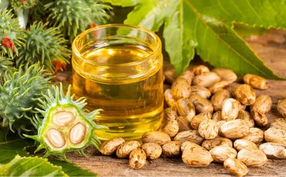 Narayani Naturals