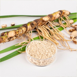Acorus Calamus