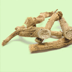 Boerhaavia Diffusa