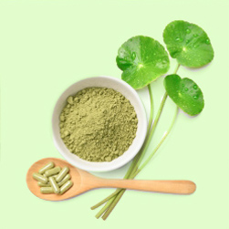 Centella Asiatica