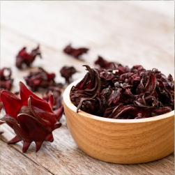 Hibiscus sabdariffa