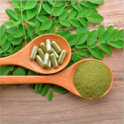 Moringa Oliefera