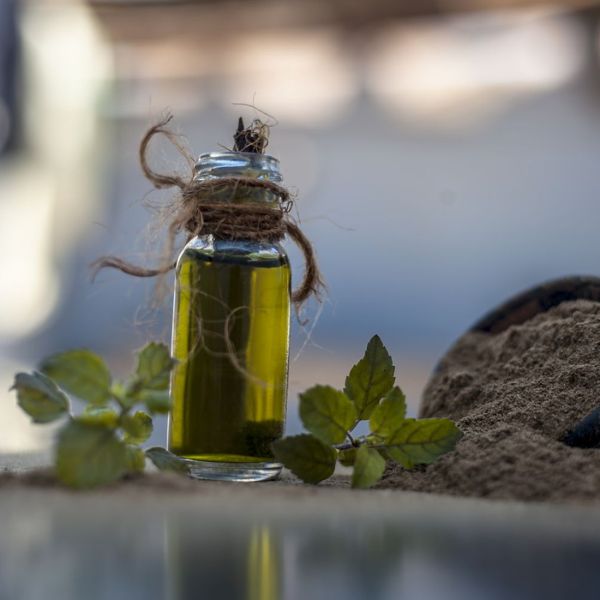 Organic Brahmi Oil Imports in France, Italy, Austria