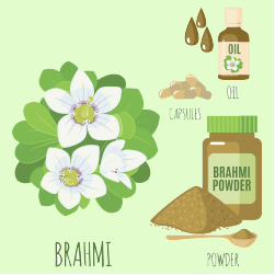 Organic brahmani11 Oil Imports in France, Italy, Austria