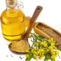 Organic mustard Oil Imports in France, Italy, Austria
