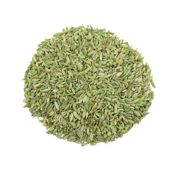 Foeniculum Vulgare (Fennel)