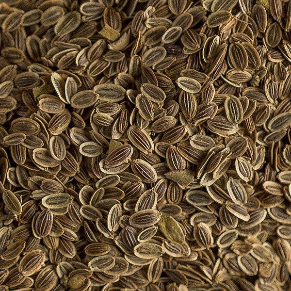 Anethum Graveolens Spices