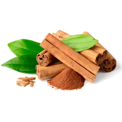 Cinnamomum Zeylanicum