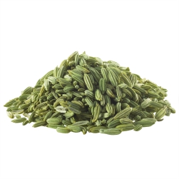 Foeniculum Vulgare