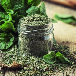 Mentha Piperita