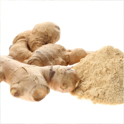Zingiber Officinales